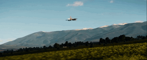 a plane is flying over a field in front of a mountain