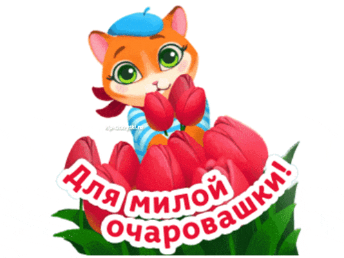 a cartoon cat is standing next to a bunch of red flowers with the words " для милой " on it