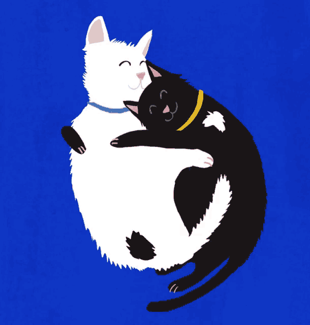 a white cat and a black cat are hugging each other on a blue background