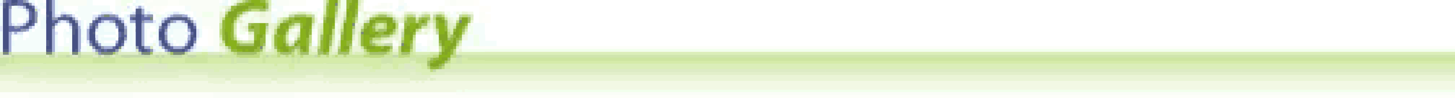 the word photo gallery is written in blue and green