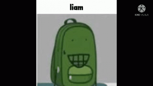Liam Liam One GIF - Liam Liam One Onehfj GIFs