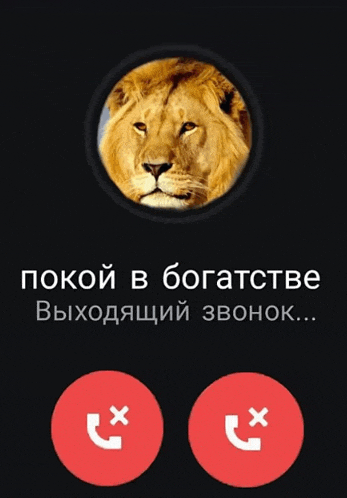a phone screen with a picture of a lion and the words " покой в богатстве " at the top