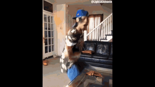 a man in a blue hat throws a pizza on a table