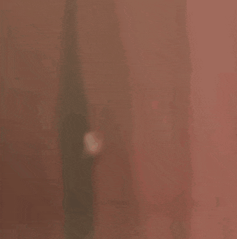 a close up of a red curtain with a blurred image of a flower behind it .