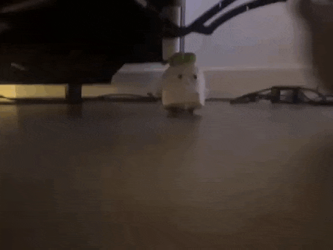 a small white object with a face on it is walking on a wooden floor .