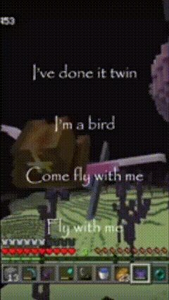 a screenshot of a video game says i 've done it twin i 'm a bird come fly with me fly with me