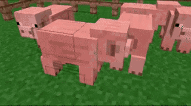 Minecraft Cursed GIF - Minecraft Cursed Pig GIFs
