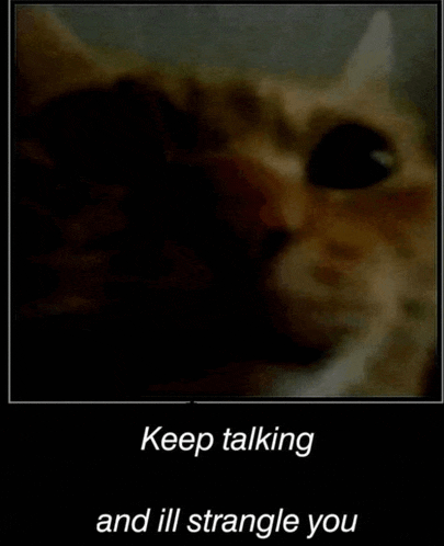 a poster of a cat with the words `` keep talking and ill strangle you '' .