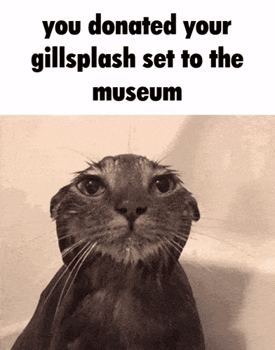 a black and white photo of a cat with the words you donated your gillsplash set to the museum below it