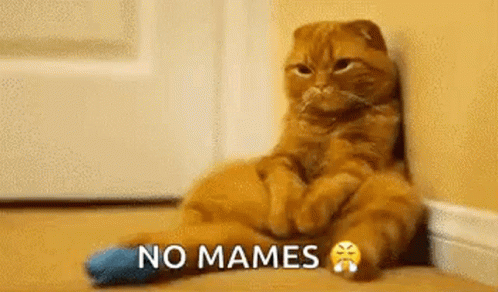 Sad No Mames GIF - Sad No Mames Cats GIFs