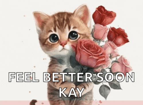 a kitten holding a bouquet of pink roses with the words " feel better soon kay " below it