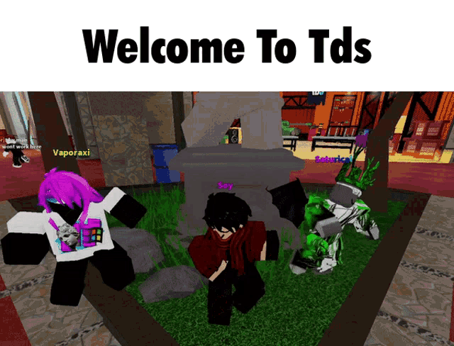 Tds Welcome To Tds GIF - Tds Welcome To Tds GIFs