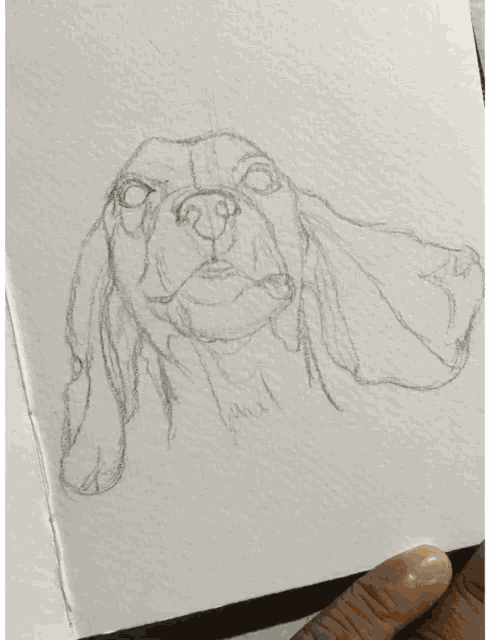 Doggo Sketch GIF - Doggo Sketch Drawing GIFs