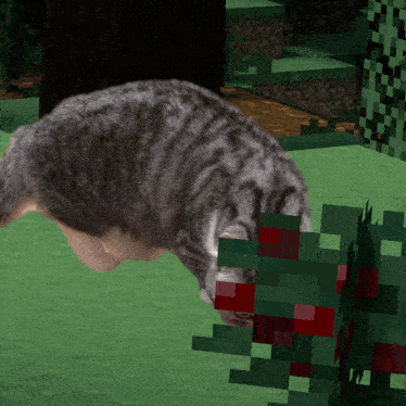 a cat in a video game is looking at a tree