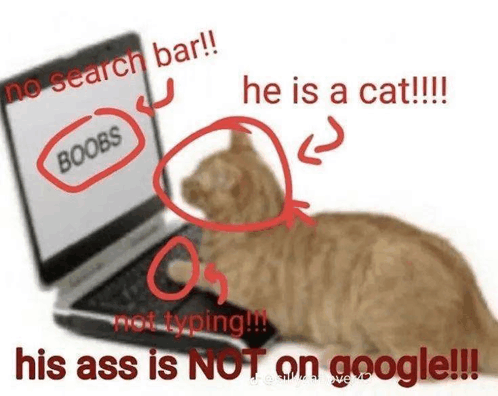 Cat Typing GIF