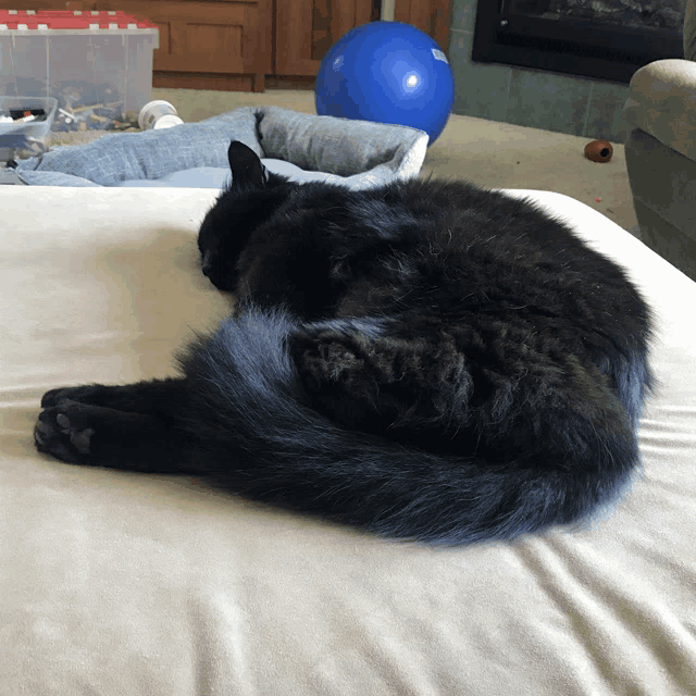 a black cat is curled up on a couch in front of a fireplace