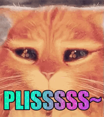 a close up of a cat 's face with the word plissss written below it