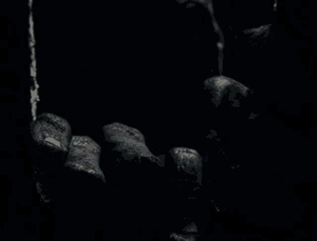 a close up of a person 's eyes in the dark with a black background