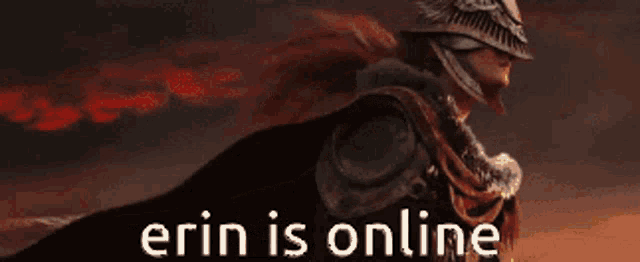 a picture of a knight with the words erin is online on the bottom