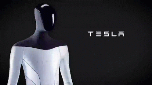 Tesla Bot GIF - Tesla Bot GIFs