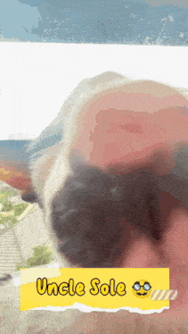 a close up of a dog 's face with a yellow sign that says uncle sole on it