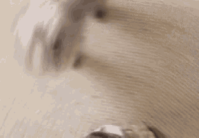 a blurred image of a dog laying on the floor .