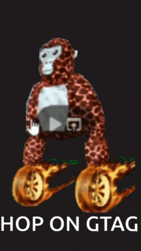 a picture of a stuffed monkey with the words hop on gtag written below it