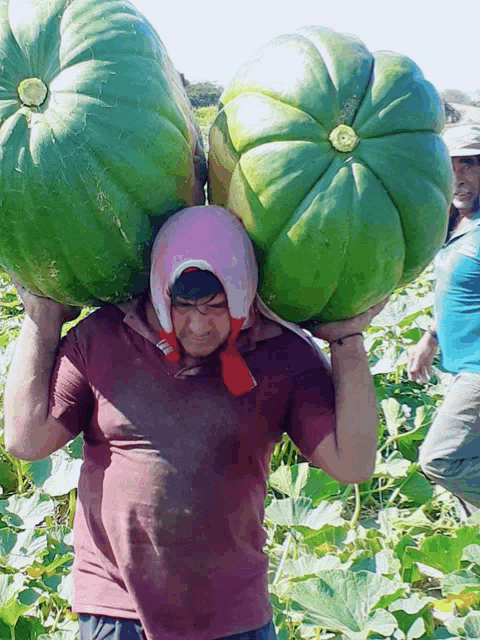 a man carrying two large green pumpkins on his head