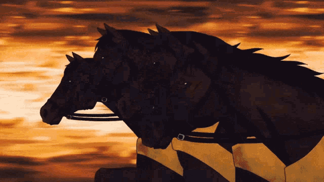 a group of horses are standing next to each other in front of a sunset