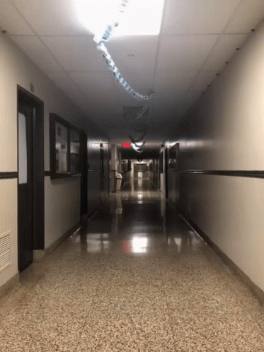 Couloir Hall GIF - Couloir Hall Creepy GIFs