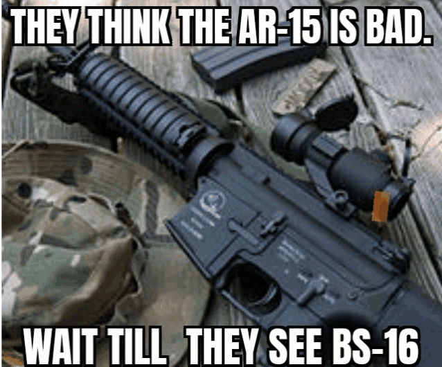 they think the ar-15 is bad , wait till they see bs-16 .