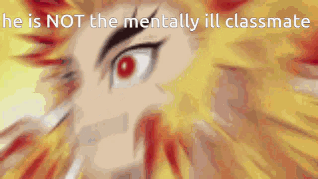 a close up of a person 's face with the words `` he is not the mentally ill classmate ''