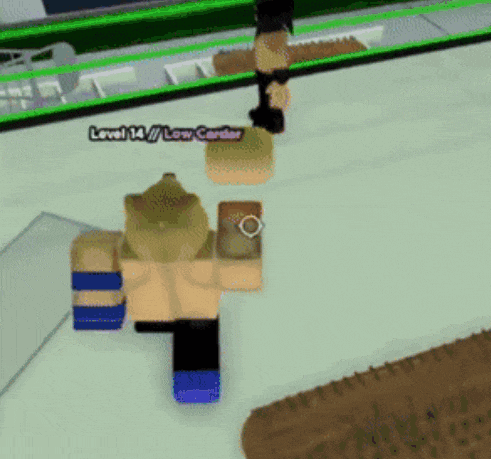 a person in a video game with a level 14 / low carder written on the bottom