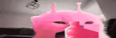a pink cat is standing next to a pink bottle of shampoo .