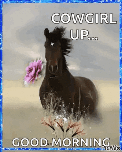 a black horse with a pink flower in its mouth and the words `` cowgirl up ... good morning ''