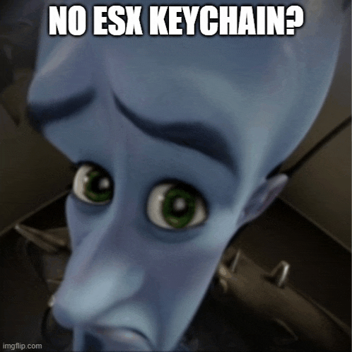 a cartoon character says no esx keychain on his face