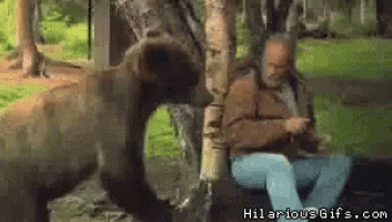 a man is sitting on a bench with a bear behind him and hilariousgifs.com is displayed on the bottom