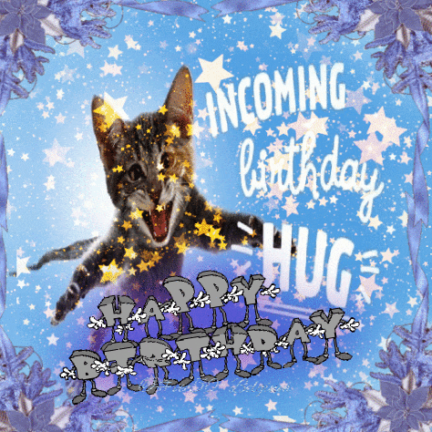 a picture of a cat with the words " incoming birthday hug "