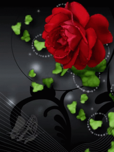 Rose Red Rose GIF - Rose Red Rose Flower GIFs