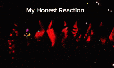 a screenshot of a video game with the words " my honest reaction " at the top
