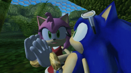Sonic Riders Amy Wink Amy Rose GIF - Sonic Riders Amy Wink Amy Rose Amy Wink GIFs