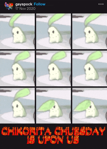 a picture of a chikorita is upon us