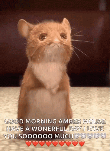 Mouse Hmph GIF - Mouse Hmph Not Talking To You GIFs