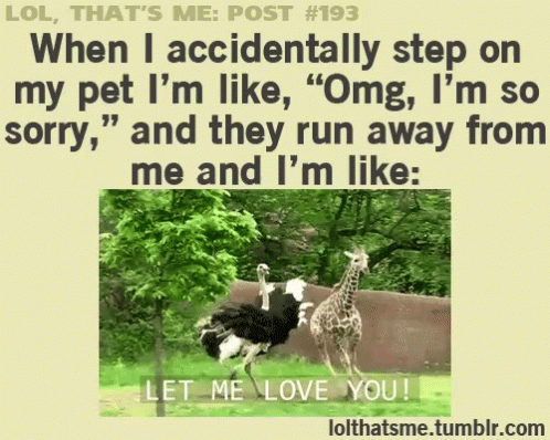Let Me Love You Accidentally Step On My Pet GIF - Let Me Love You Accidentally Step On My Pet GIFs
