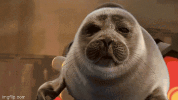 a seal is standing in front of a red and yellow background .