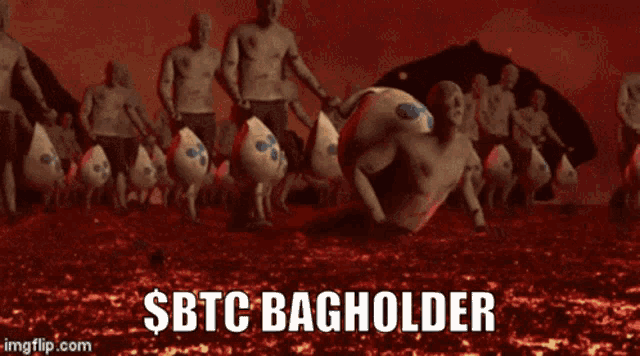 Btc Bagholder GIF - Btc Bagholder GIFs