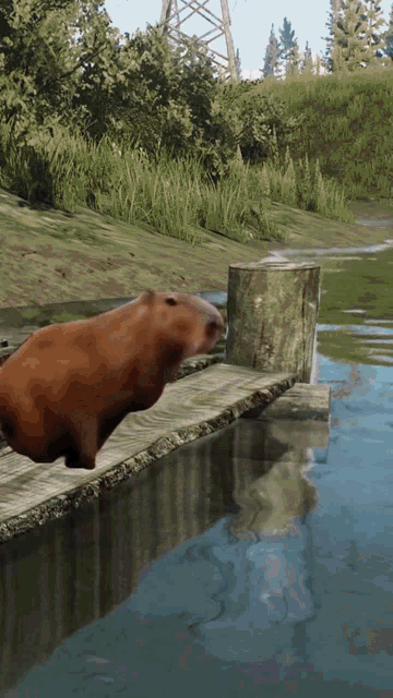 Tarkov Capybara GIF - Tarkov Capybara GIFs