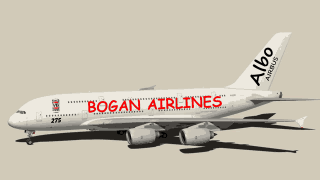 a white airplane with bogan airlines on the side