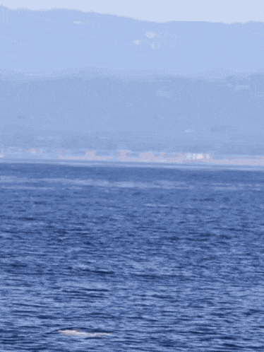 a large body of water surrounded by mountains