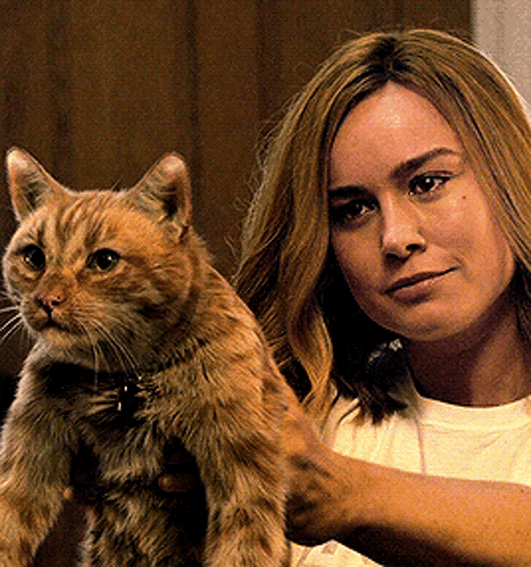 a woman is holding a cat in her arms